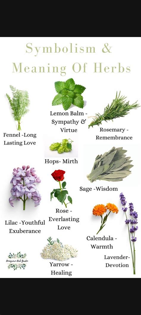 Wich herb meanings